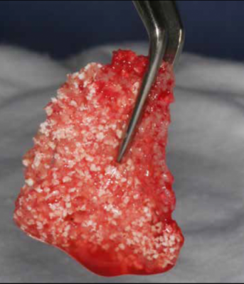 sticky-bone-prof.sohn