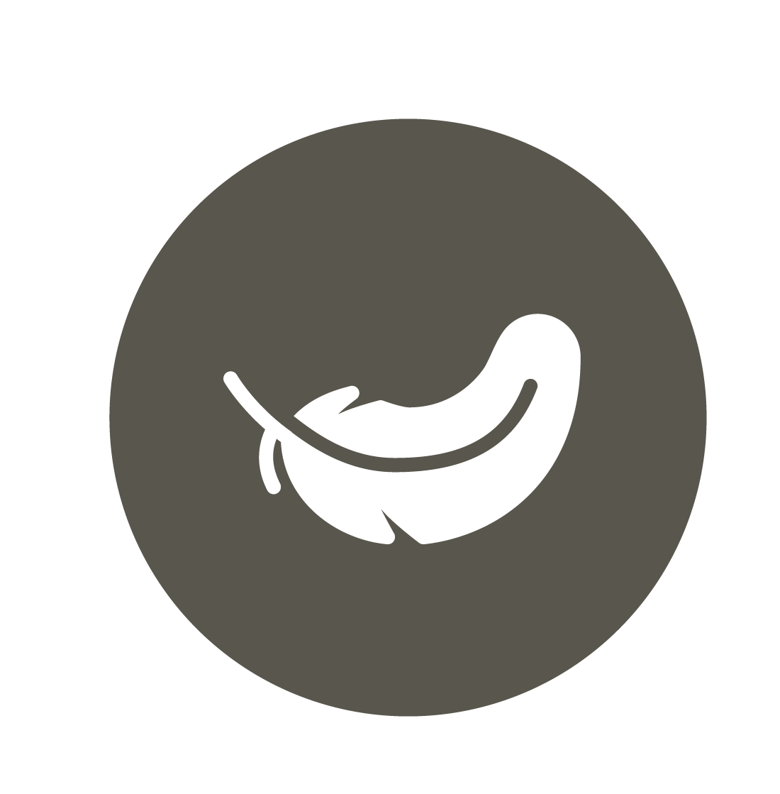 Phosphor Plate Scanner