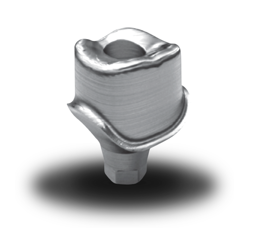 maxFIT-Custom-Abutment 1