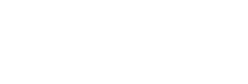maxFIT